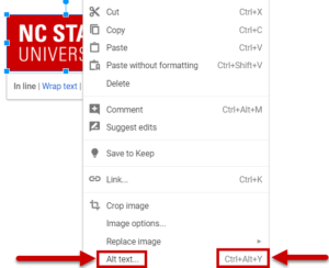 Visual image of how to alternative text in Google Docs